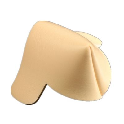 Foam Dressing
