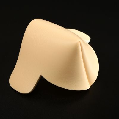 Foam Dressing
