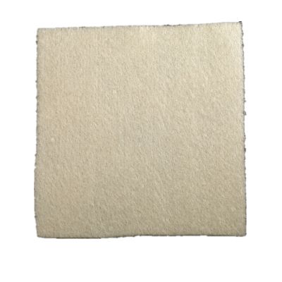 Alginate Dressing